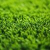 ثيل صناعي أخضر فاخر للحدائق والملاعب من مفروشات وأرضيات السريع بالرياض