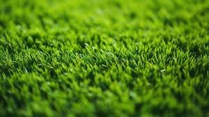 ثيل صناعي أخضر فاخر للحدائق والملاعب من مفروشات وأرضيات السريع بالرياض